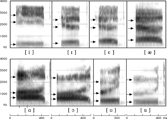 phonemes